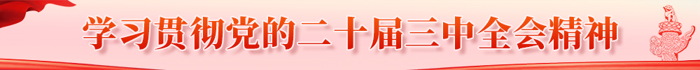 學習貫徹黨的二十屆三中全會精神